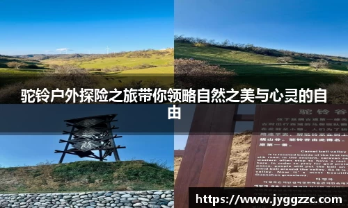 星空体育全站