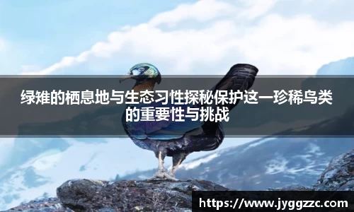 星空体育在线